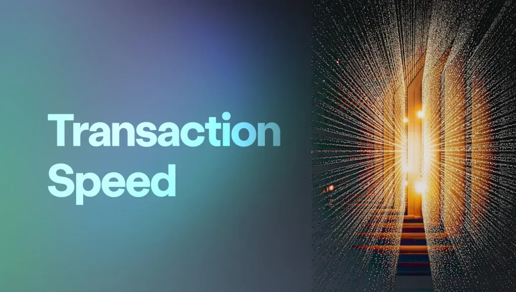 Transaction Speed: Meaning and Factors that Impact variation in