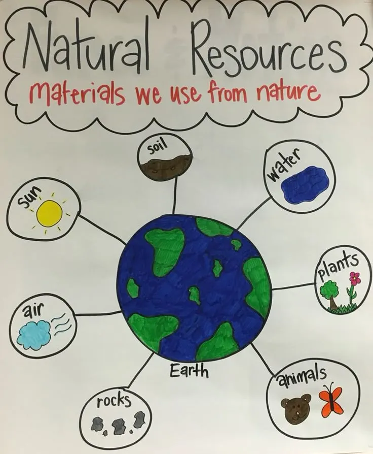 Conserve natural resources | Natural resources anchor chart, Science
