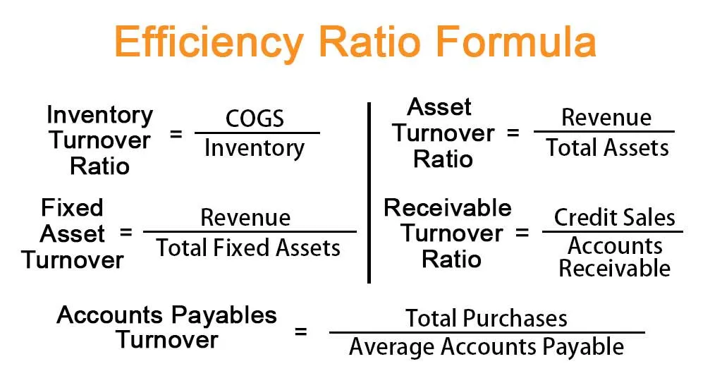 Expense Ratio and Cost Efficiency