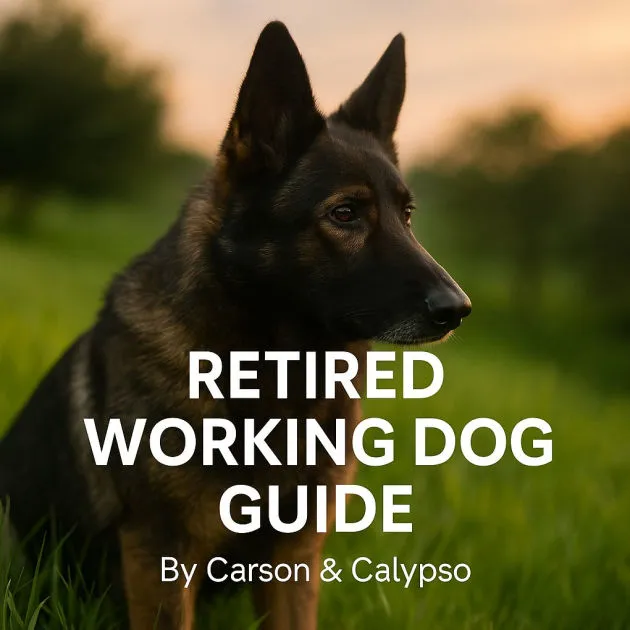 how to adopt a retired K9 dog: Preparing Your Home