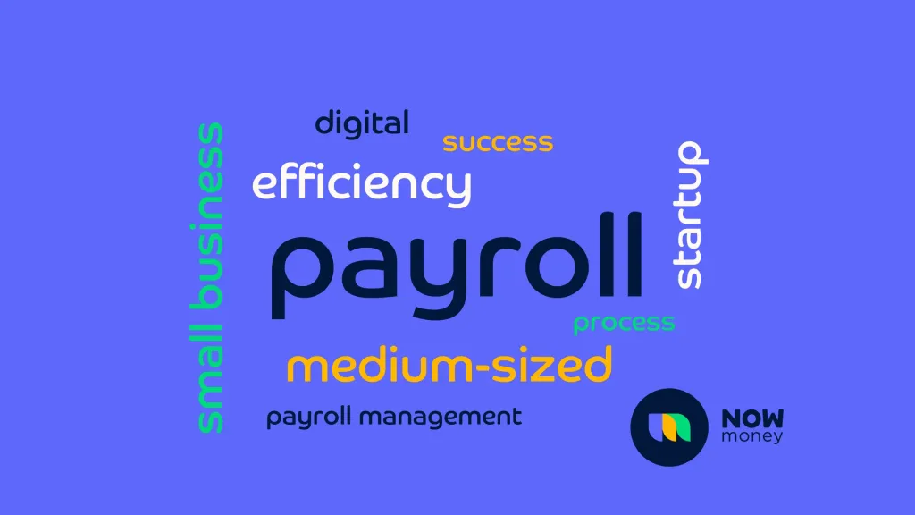 Implementation tips for payroll software for medium sized business