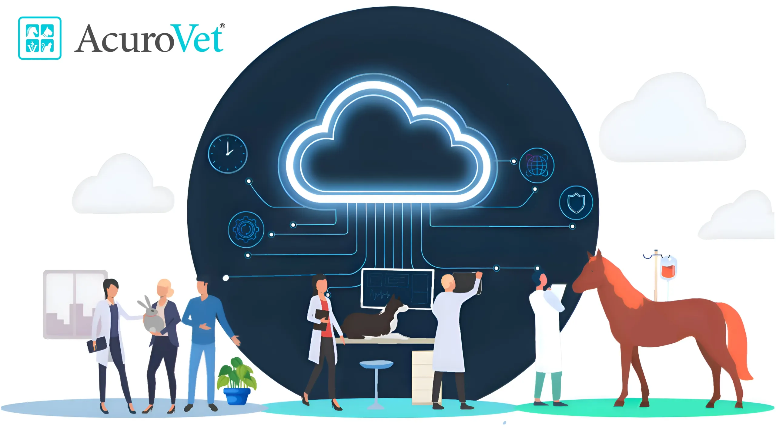 Key Features of Cloud Based Veterinary Practice Management Software