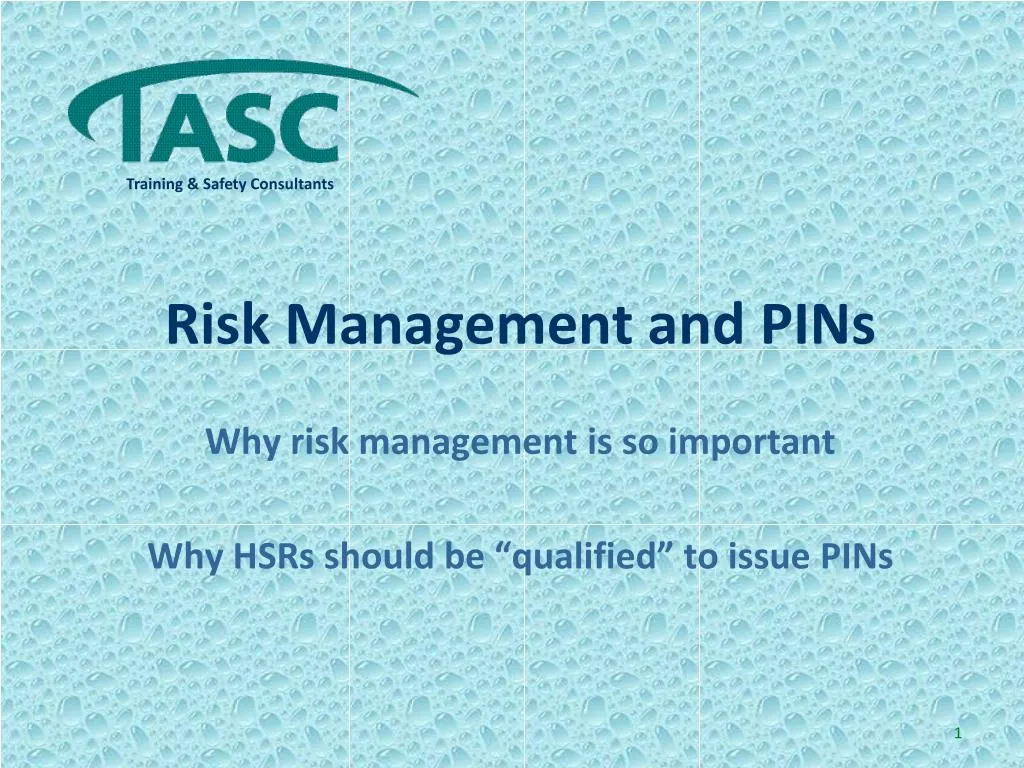 PPT - Risk Management and PINs PowerPoint Presentation, free download