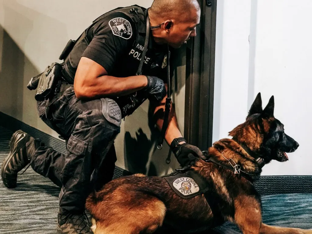 Preparing Your Home for a Police Dog